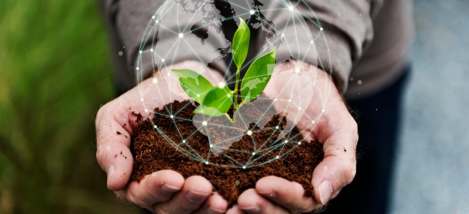 Social Responsibility
